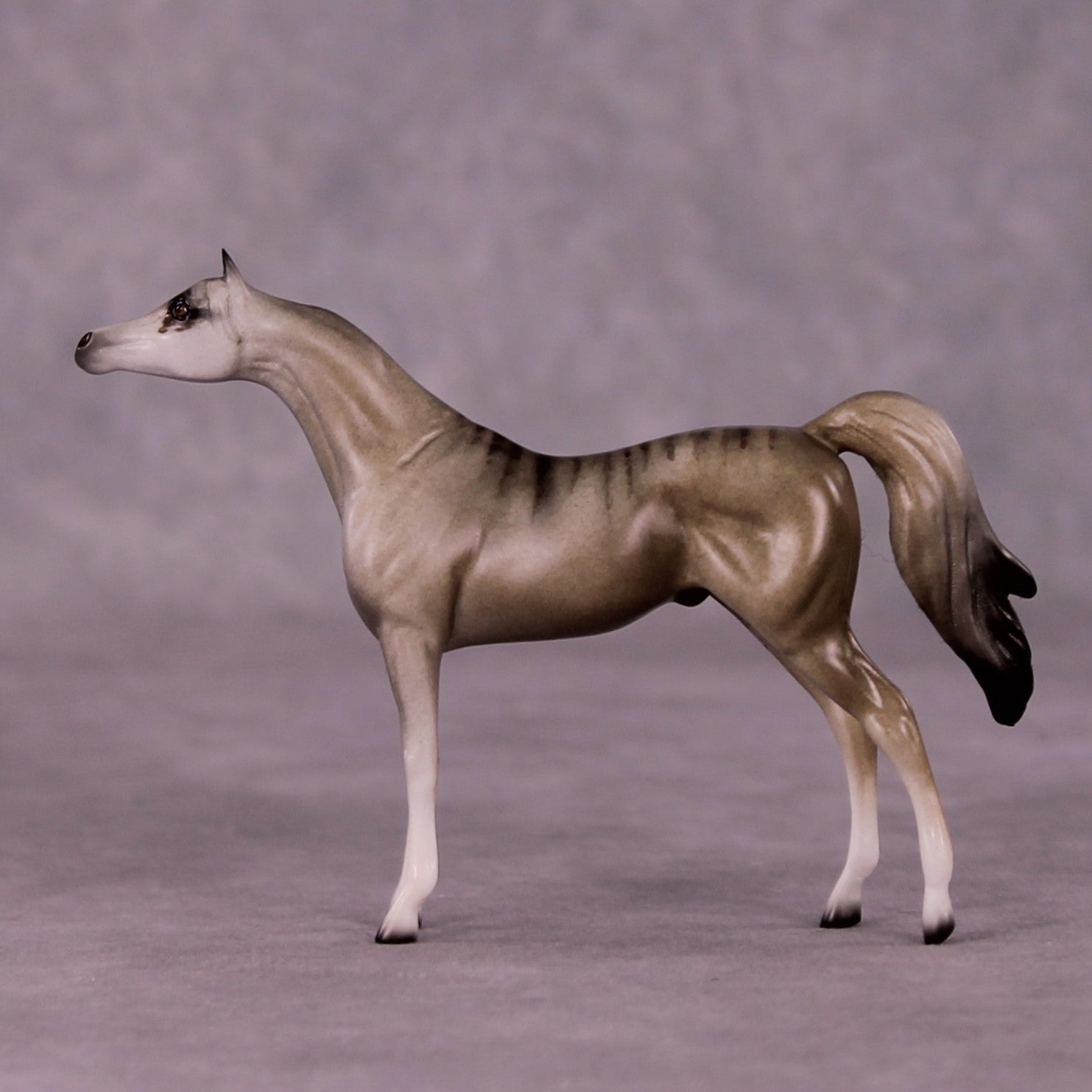 Namaqua OOAK Arabian Chip by Jess Hamill MS25