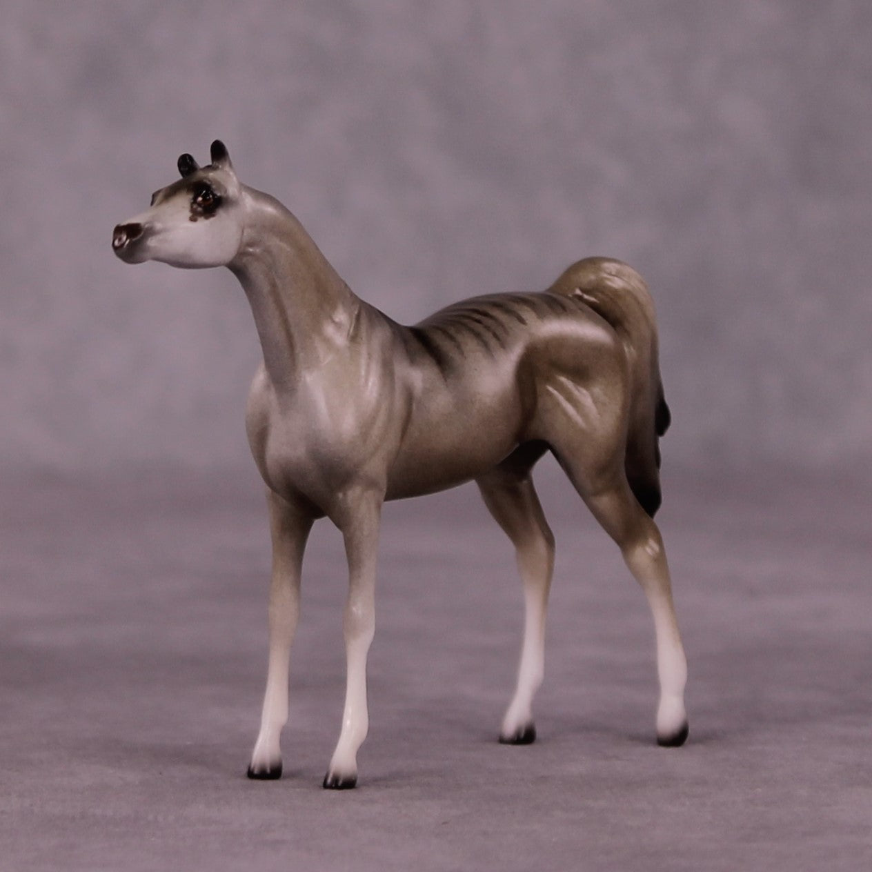 Namaqua OOAK Arabian Chip by Jess Hamill MS25