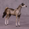 Namaqua OOAK Arabian Chip by Jess Hamill MS25