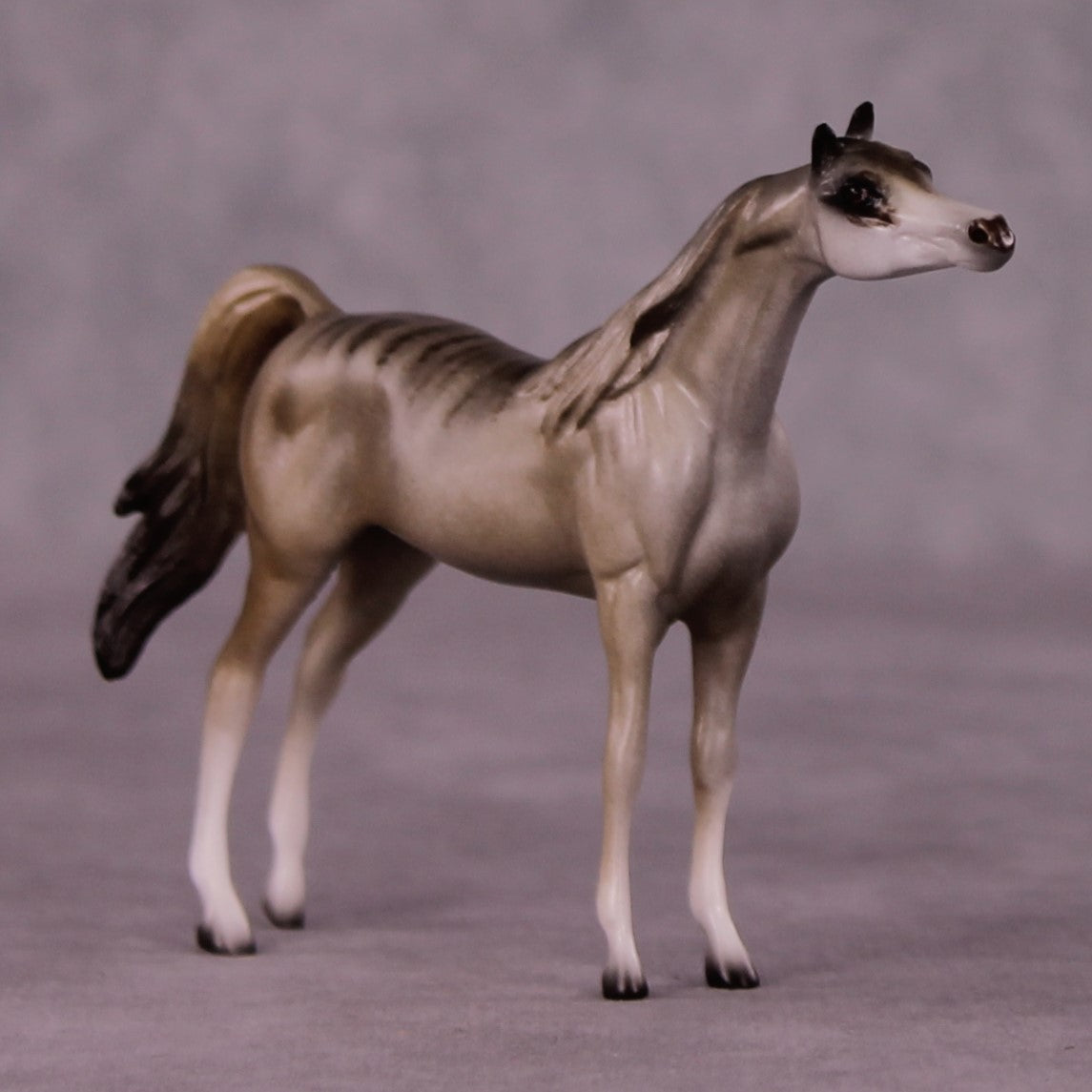 Namaqua OOAK Arabian Chip by Jess Hamill MS25