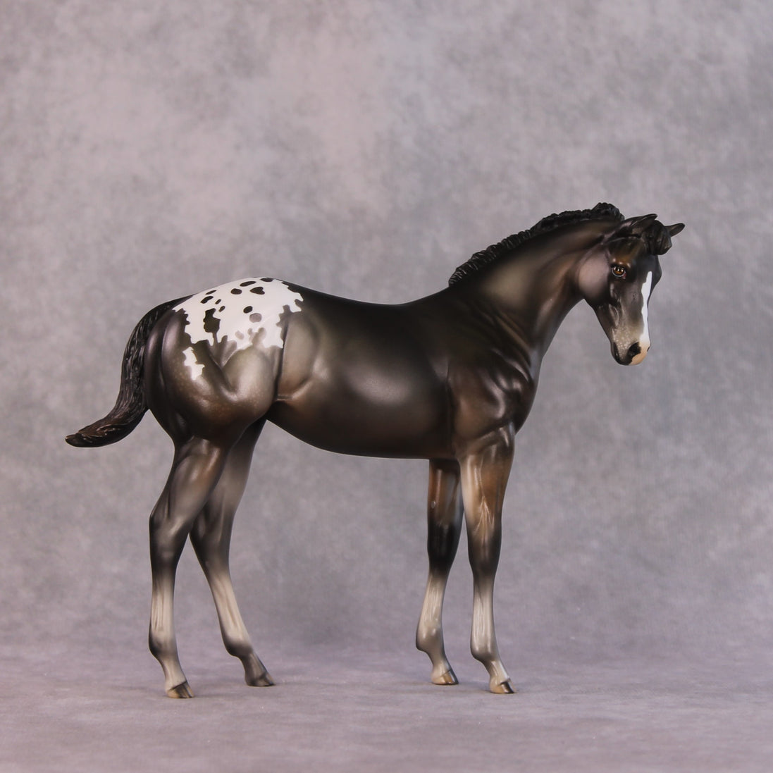 "Buckinghamshire" LE-10 FCM Weanling By Julie Keim SHCF25OS Run