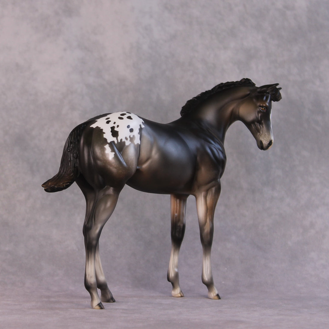 "Buckinghamshire" LE-10 FCM Weanling By Julie Keim SHCF25OS Run