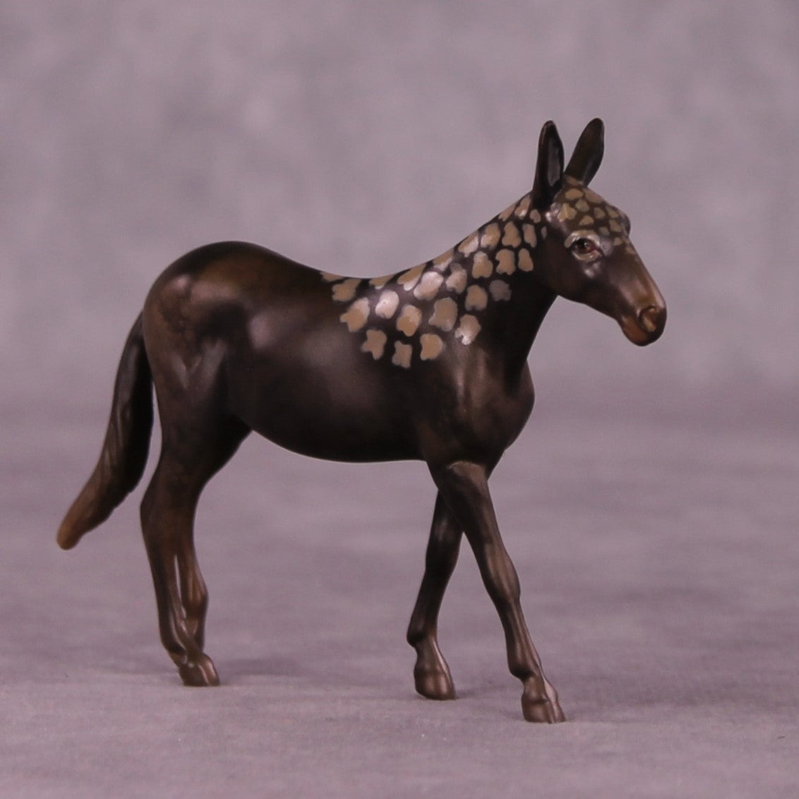 Pilansberg OOAK Mule Chip by Jess Hamill MS25