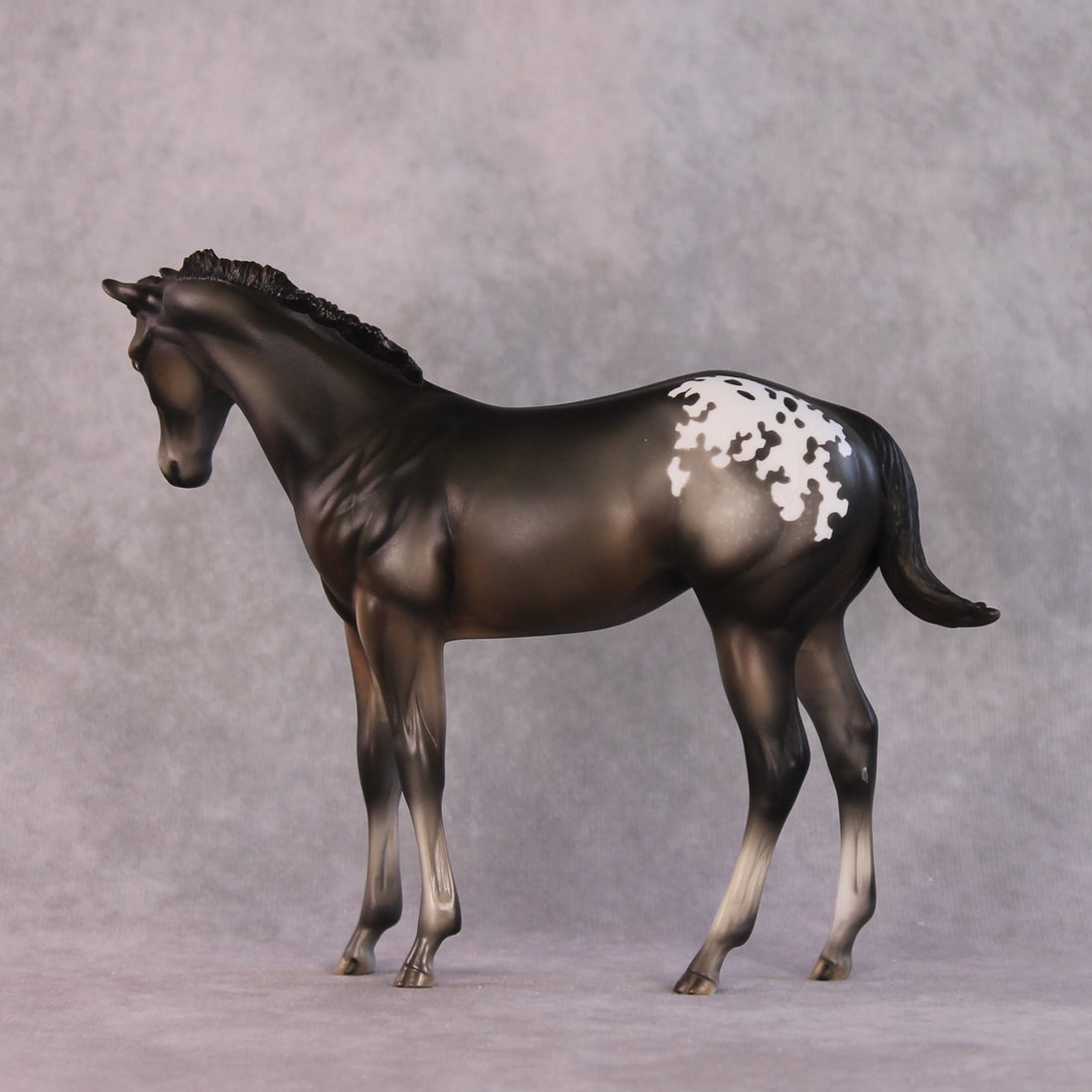 "Buckinghamshire" LE-10 FCM Weanling By Julie Keim SHCF25OS Run