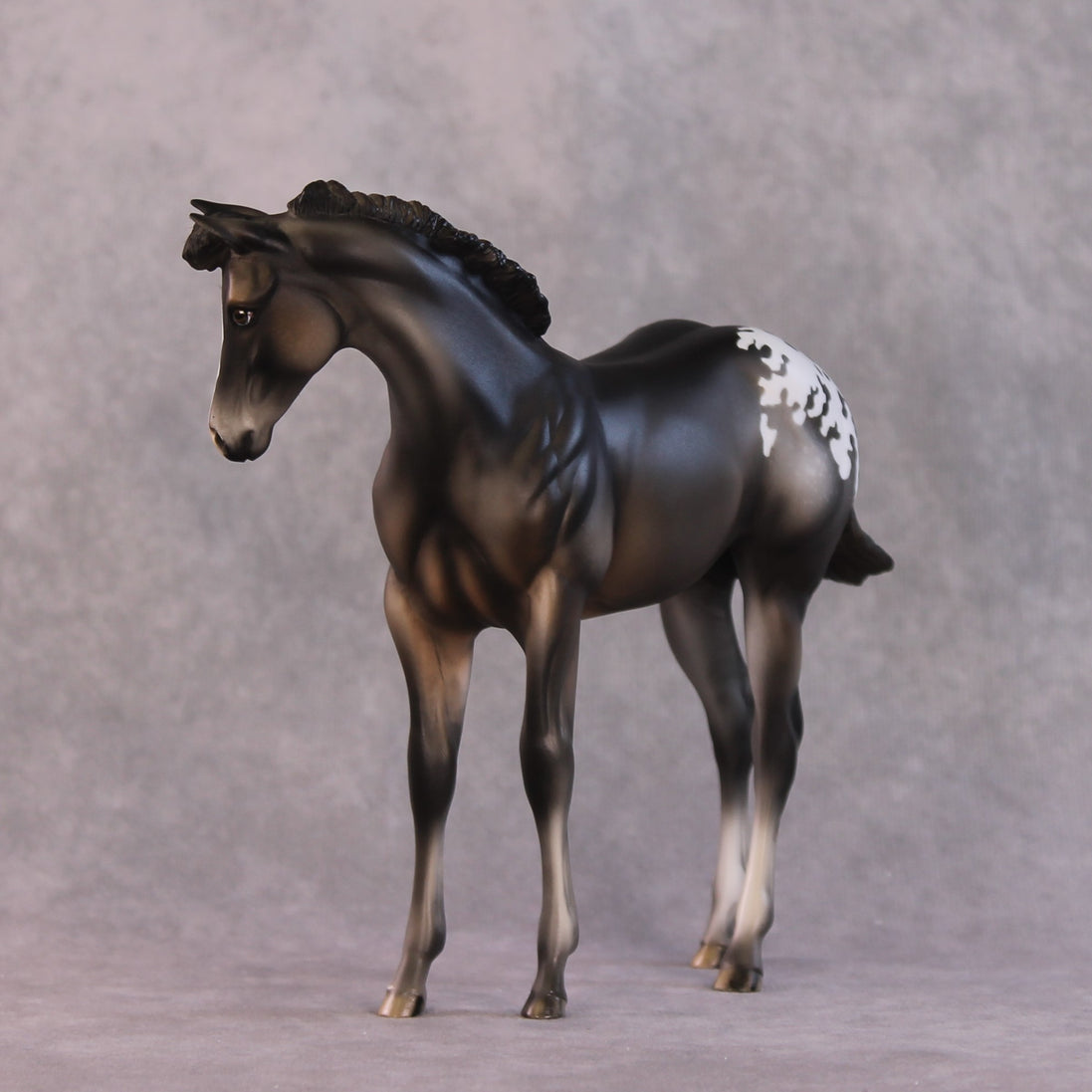 "Buckinghamshire" LE-10 FCM Weanling By Julie Keim SHCF25OS Run
