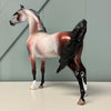 Divine Comedy Trio of Arabians By Ellen Robbins, Jess Hamill &amp; Ashley Palmer CL24 Online Exclusive Sale