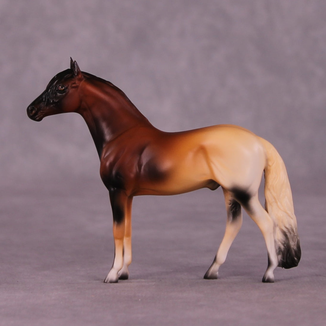 Alitash OOAK Andalusian Chip by Jess Hamill MS25