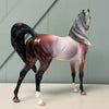 Divine Comedy Trio of Arabians By Ellen Robbins, Jess Hamill &amp; Ashley Palmer CL24 Online Exclusive Sale