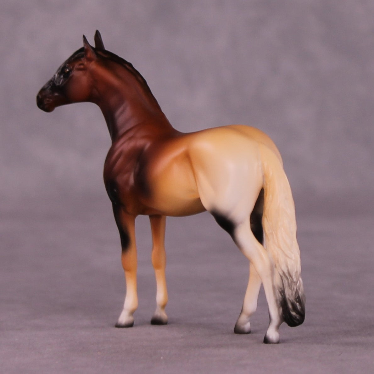 Alitash OOAK Andalusian Chip by Jess Hamill MS25