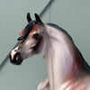 Divine Comedy Trio of Arabians By Ellen Robbins, Jess Hamill &amp; Ashley Palmer CL24 Online Exclusive Sale