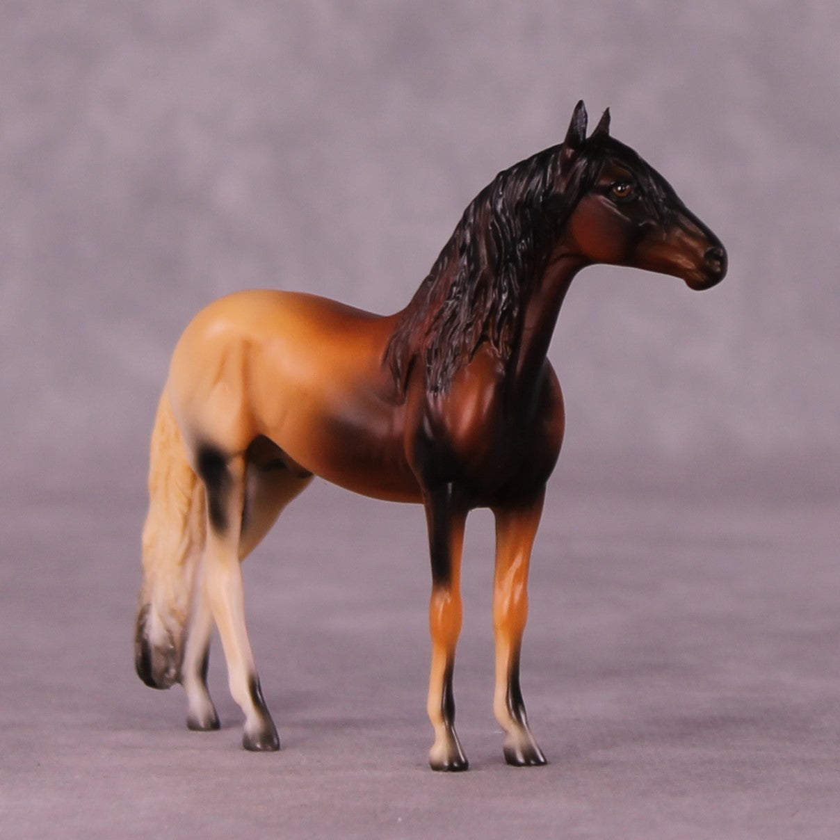 Alitash OOAK Andalusian Chip by Jess Hamill MS25