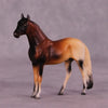 Alitash OOAK Andalusian Chip by Jess Hamill MS25