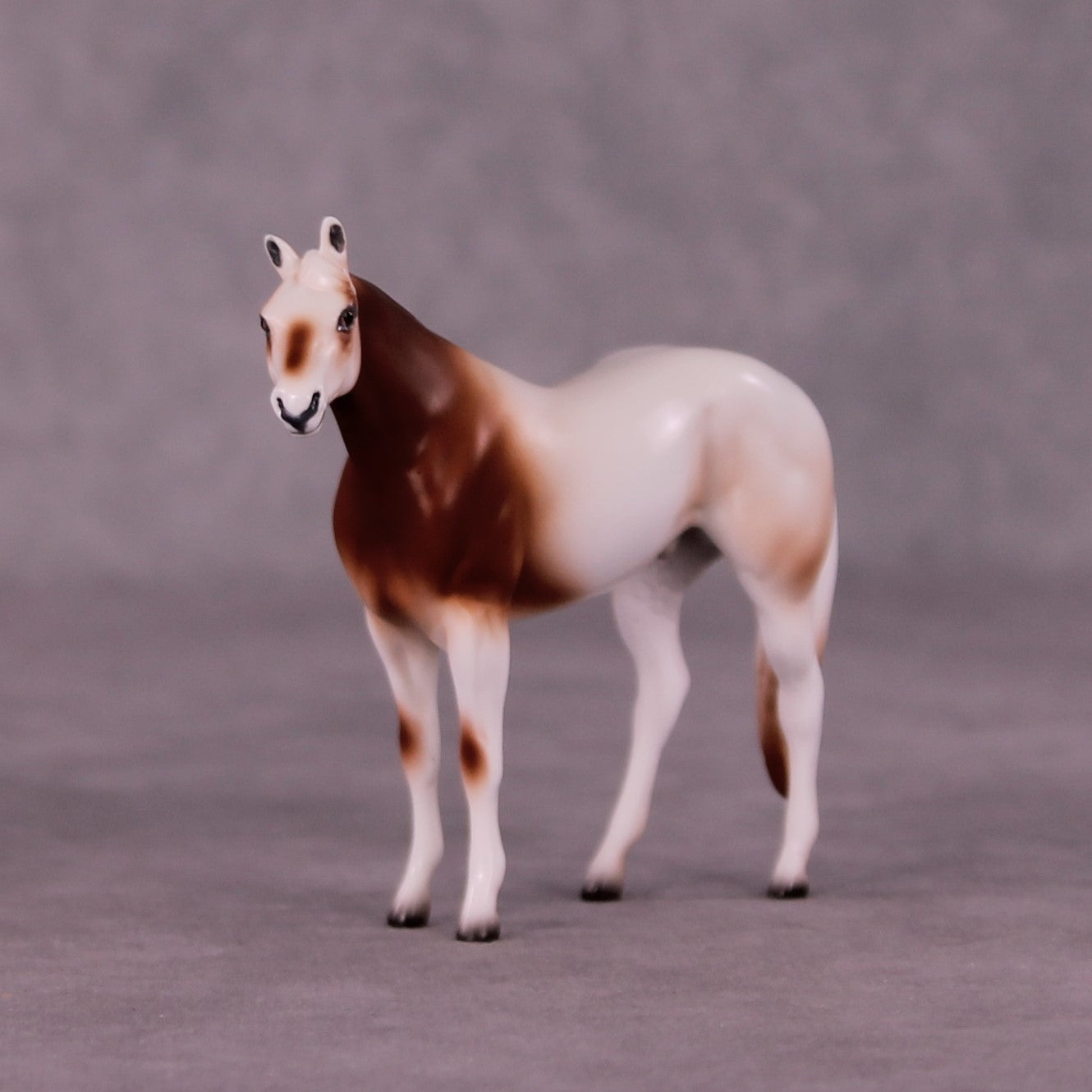 Zakouma OOAK Stock Chip by Jess Hamill MS25