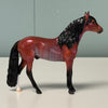 Cato - Divine Comedy Bay Rabicano Andalusian Chip - LE-3  By Ellen Robbins Classic Literature Series 2024 CL24