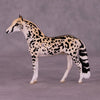Djuma OOAK Andalusian Chip by Jess Hamill MS25
