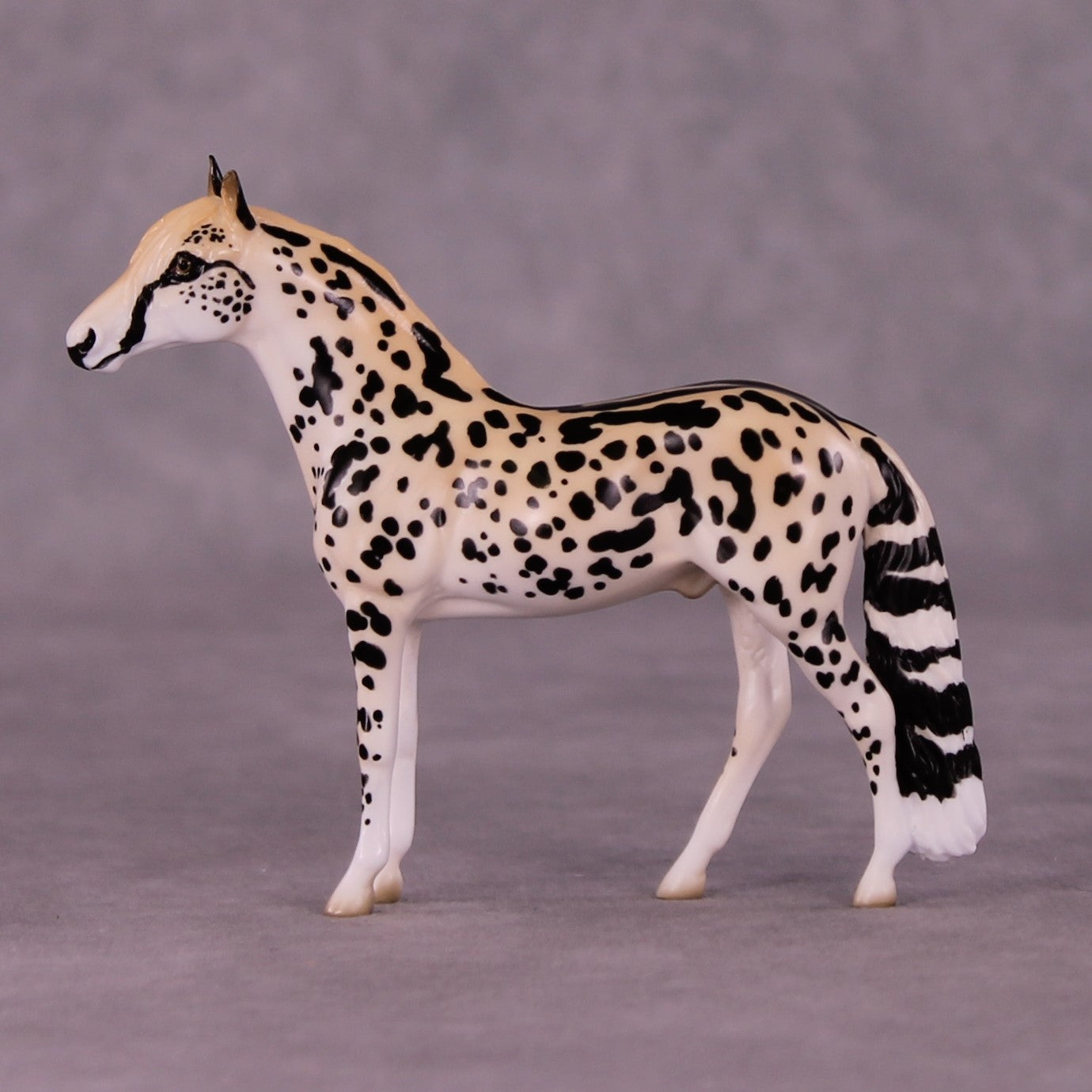 Djuma OOAK Andalusian Chip by Jess Hamill MS25
