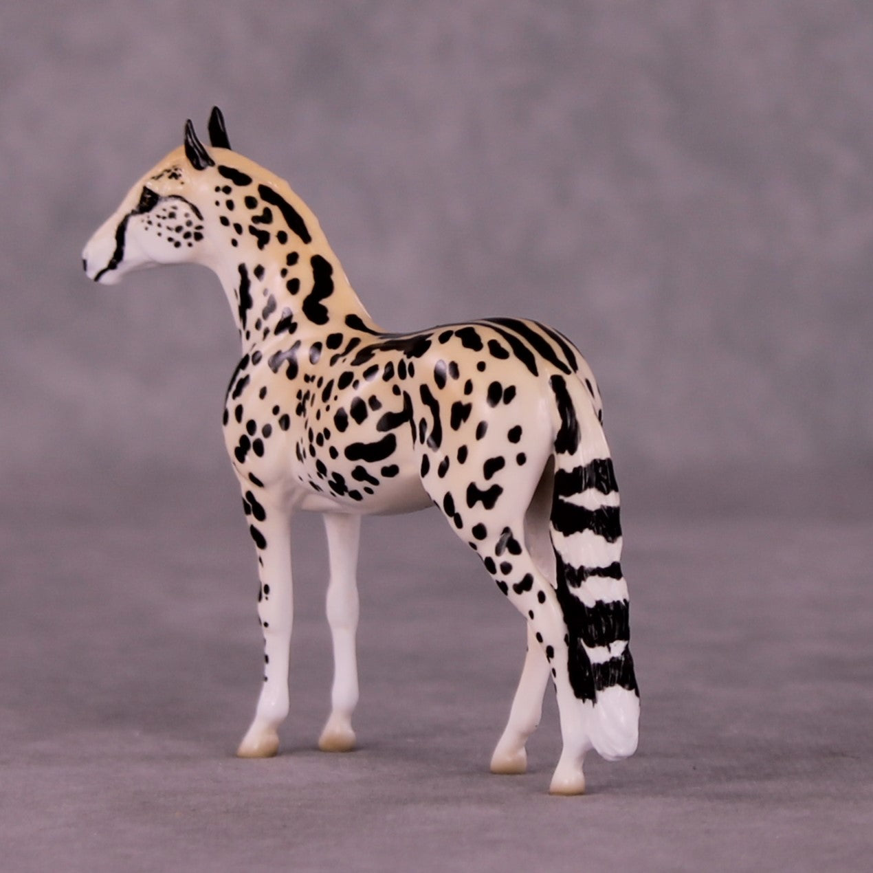 Djuma OOAK Andalusian Chip by Jess Hamill MS25