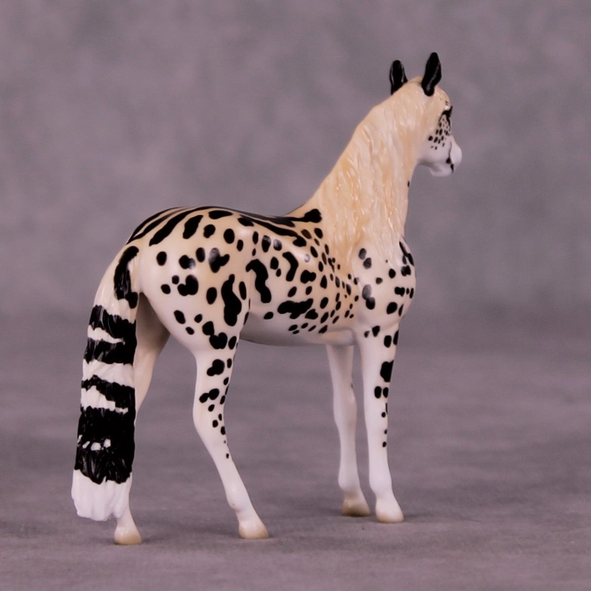 Djuma OOAK Andalusian Chip by Jess Hamill MS25