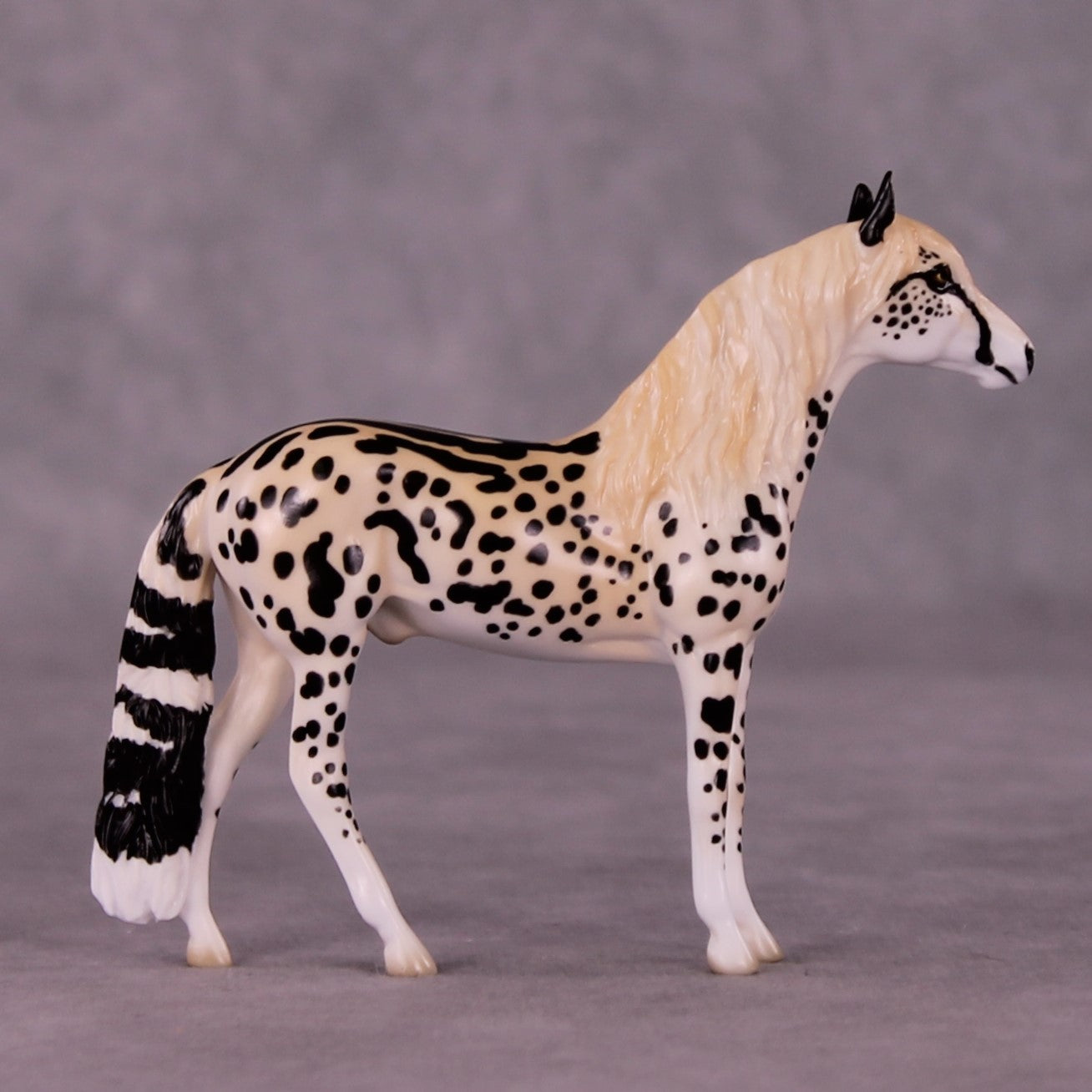 Djuma OOAK Andalusian Chip by Jess Hamill MS25