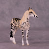 Djuma OOAK Andalusian Chip by Jess Hamill MS25