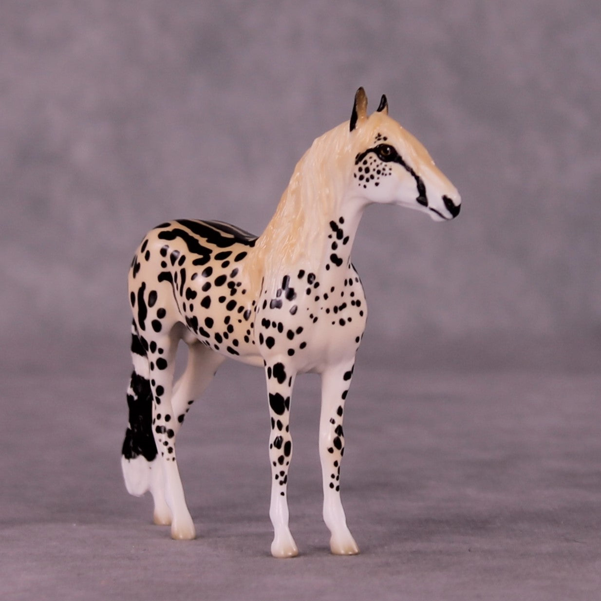 Djuma OOAK Andalusian Chip by Jess Hamill MS25