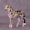 Djuma OOAK Andalusian Chip by Jess Hamill MS25