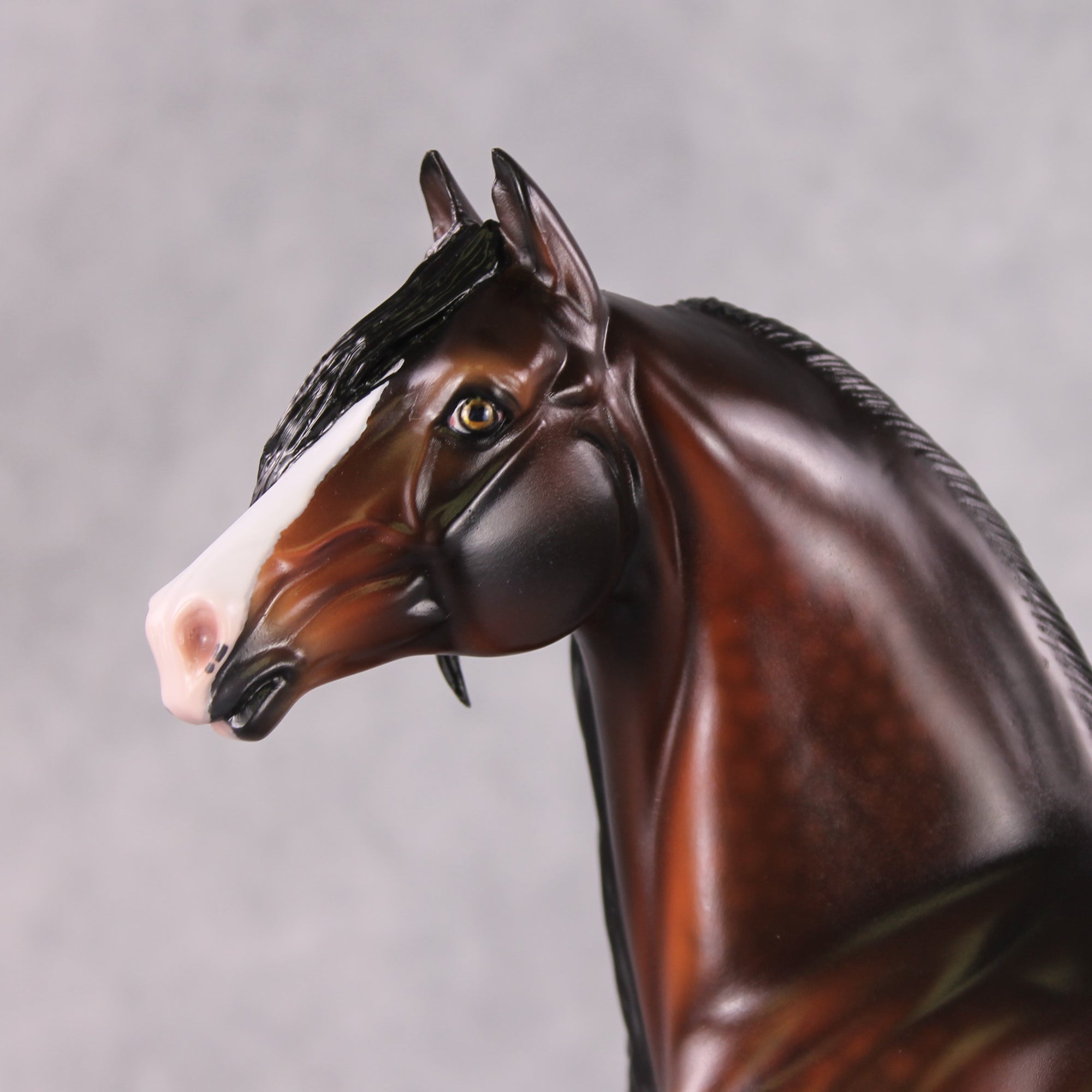 Stone Horses OOAK FCM "Whispered Warmth" - Dappled Bay Morgan by Ashley Palmer &amp; Mona Best Offer 1/28/2025