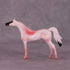 Nakuru OOAK Arabian Chip by Jess Hamill MS25
