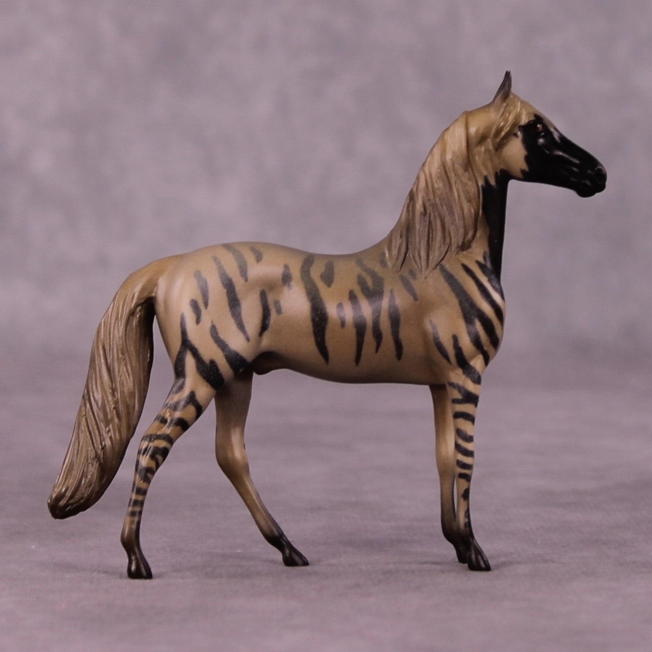 Ahhagar OOAK Morgan Chip by Jess Hamill MS25