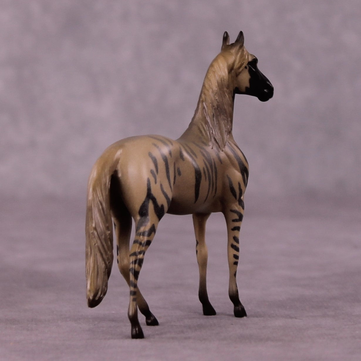 Ahhagar OOAK Morgan Chip by Jess Hamill MS25