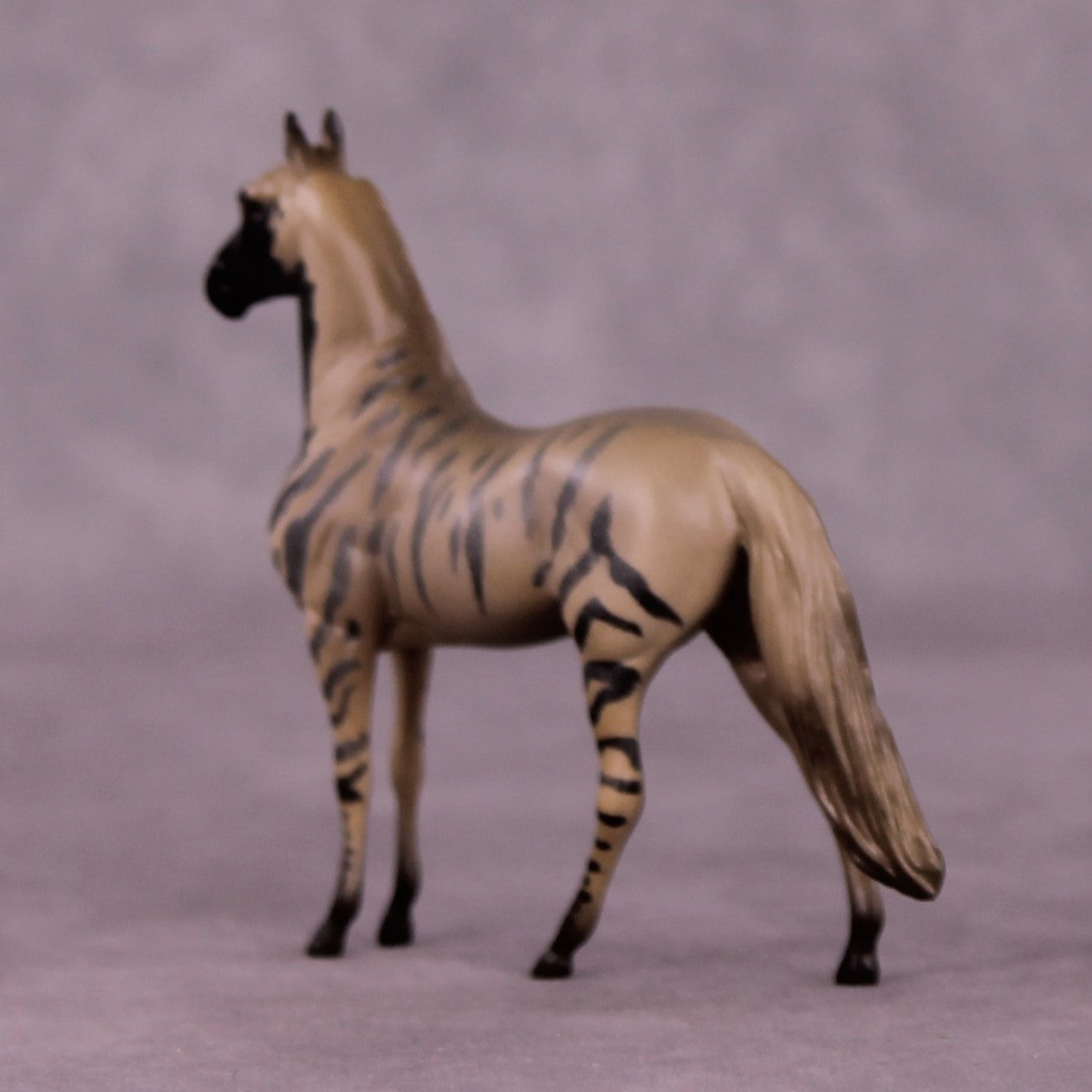 Ahhagar OOAK Morgan Chip by Jess Hamill MS25