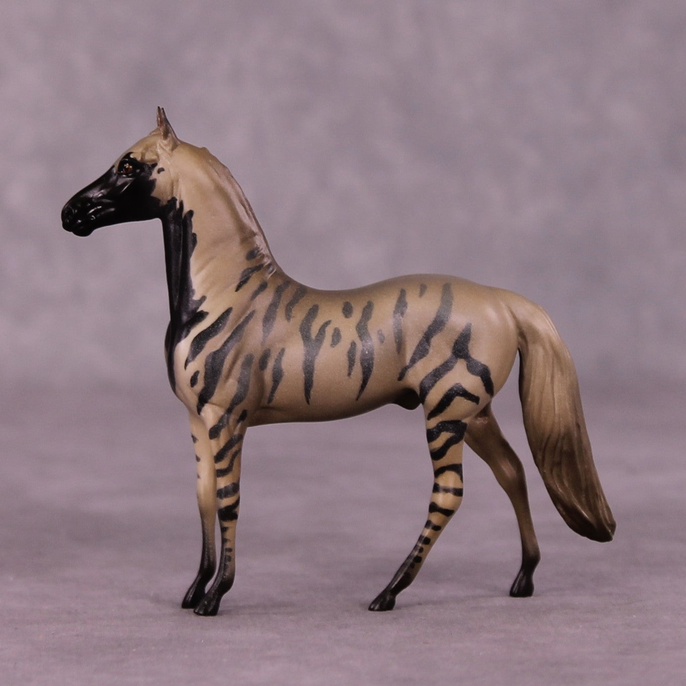 Ahhagar OOAK Morgan Chip by Jess Hamill MS25