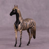 Ahhagar OOAK Morgan Chip by Jess Hamill MS25