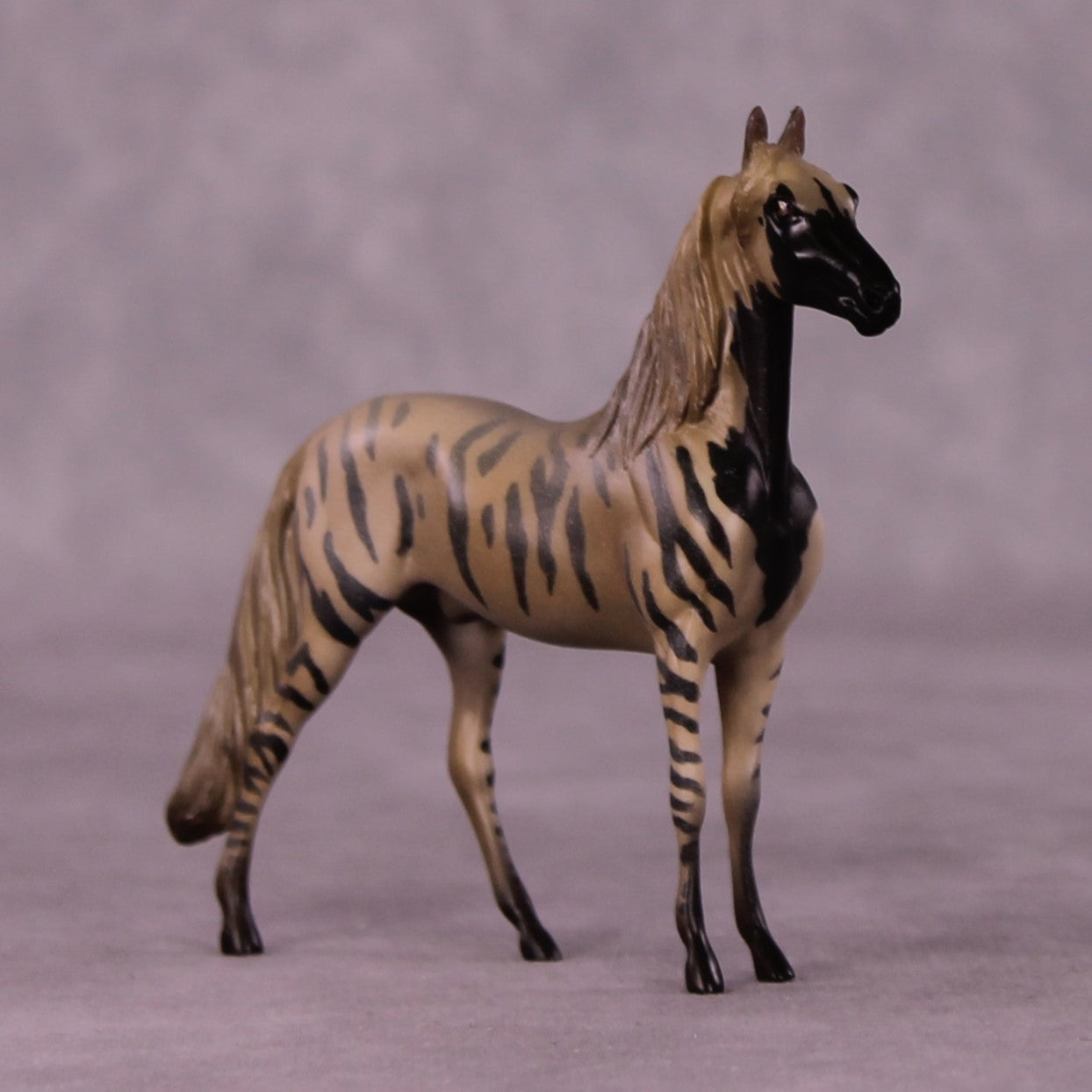 Ahhagar OOAK Morgan Chip by Jess Hamill MS25