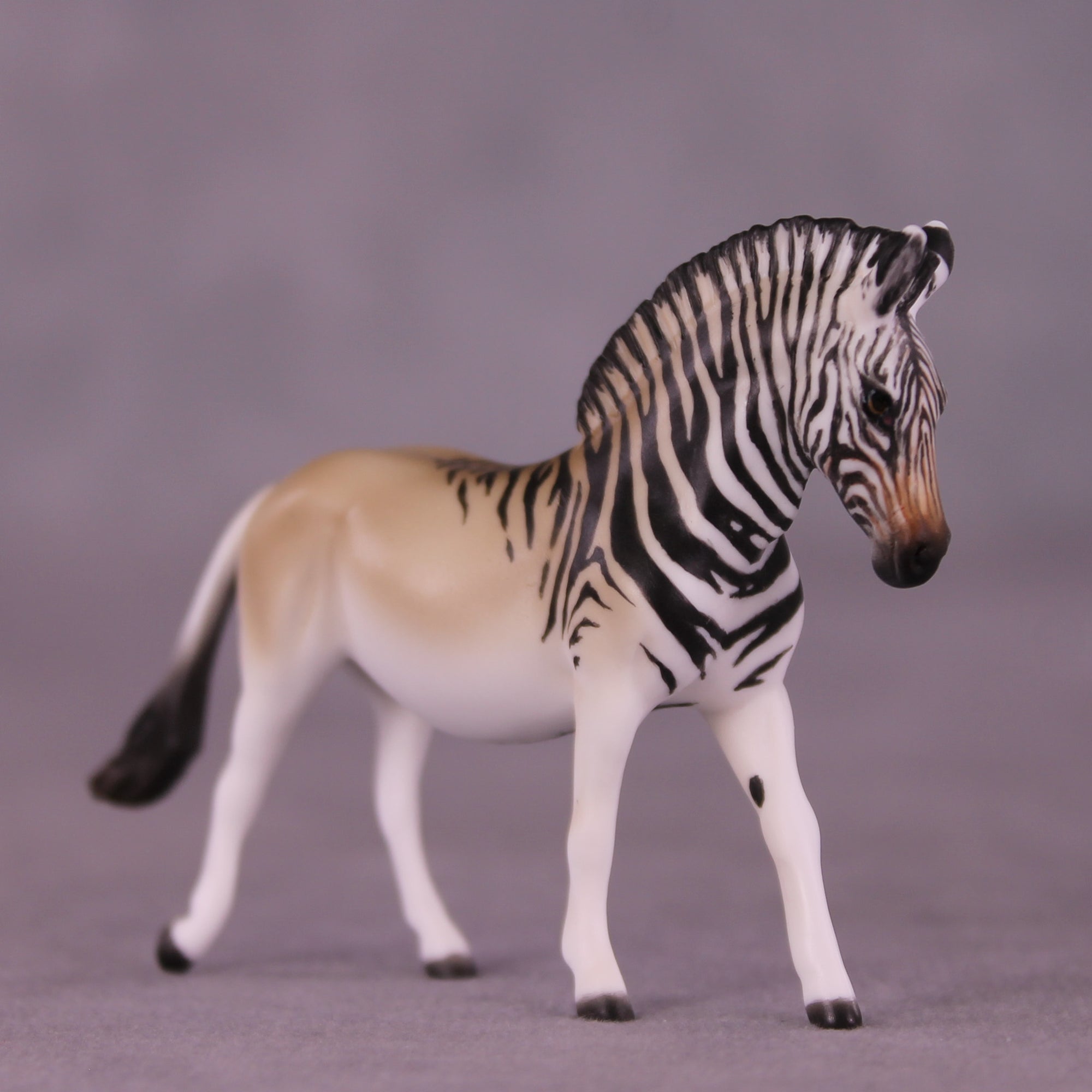 Hippotigris LE-4 EFCM Chip Pony by Jess Hamill LHS25