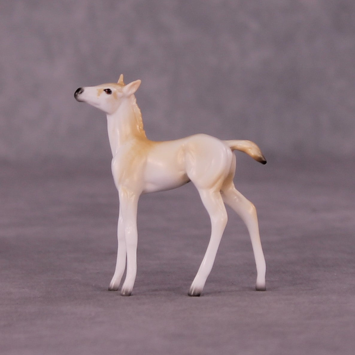 Wadi Hitan OOAK Foal Chip by Jess Hamill MS25