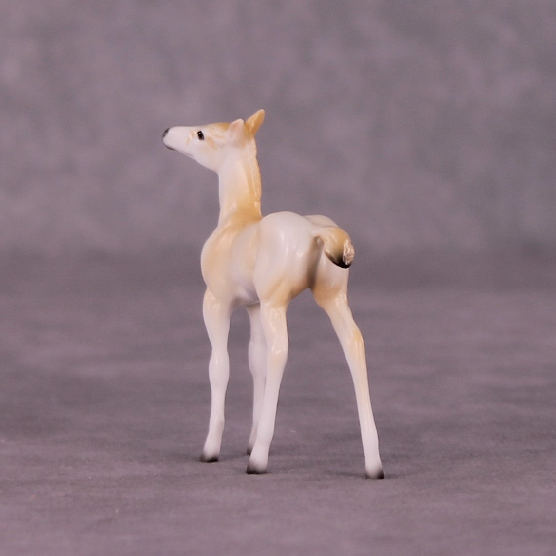 Wadi Hitan OOAK Foal Chip by Jess Hamill MS25