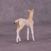 Wadi Hitan OOAK Foal Chip by Jess Hamill MS25