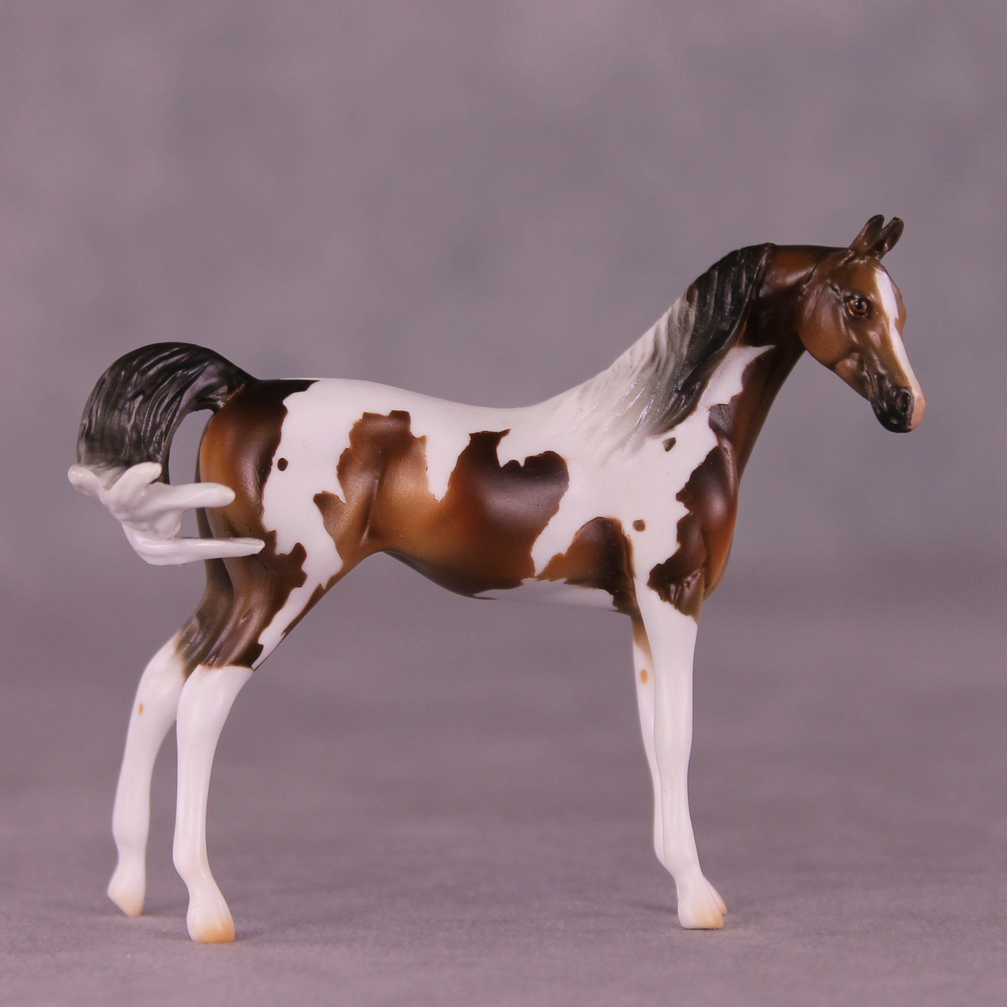 Mountain Mint OOAK FCM Chip Arabian by Mindy Berg Best Offers LHS25 09/09/2025