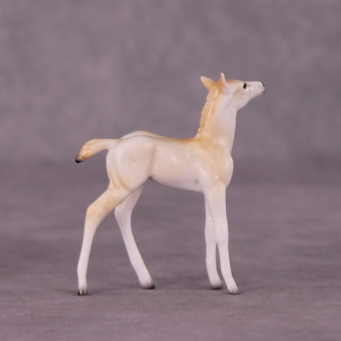 Wadi Hitan OOAK Foal Chip by Jess Hamill MS25