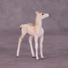 Wadi Hitan OOAK Foal Chip by Jess Hamill MS25
