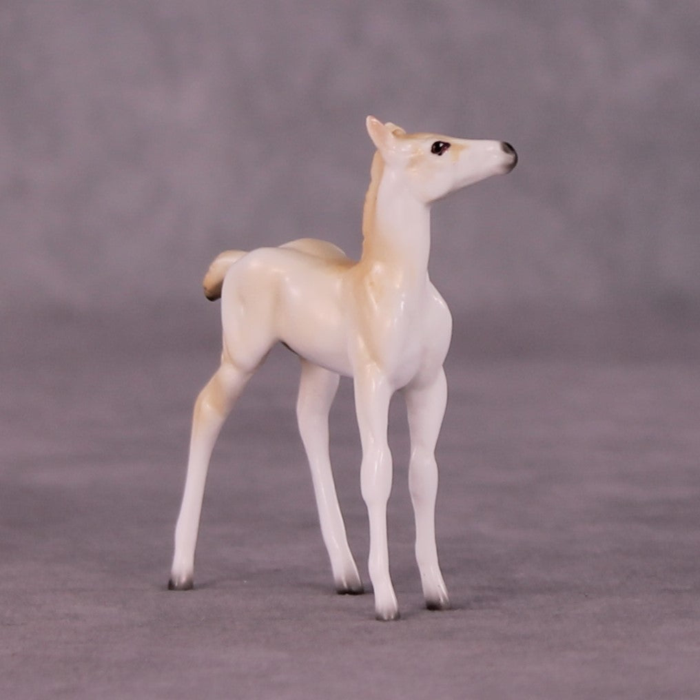 Wadi Hitan OOAK Foal Chip by Jess Hamill MS25