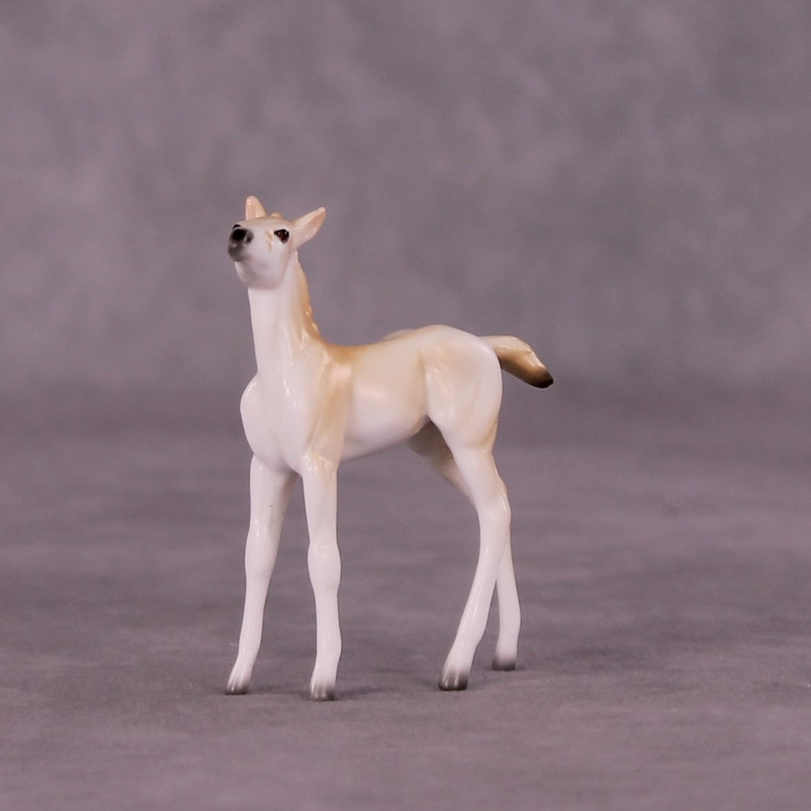 Wadi Hitan OOAK Foal Chip by Jess Hamill MS25
