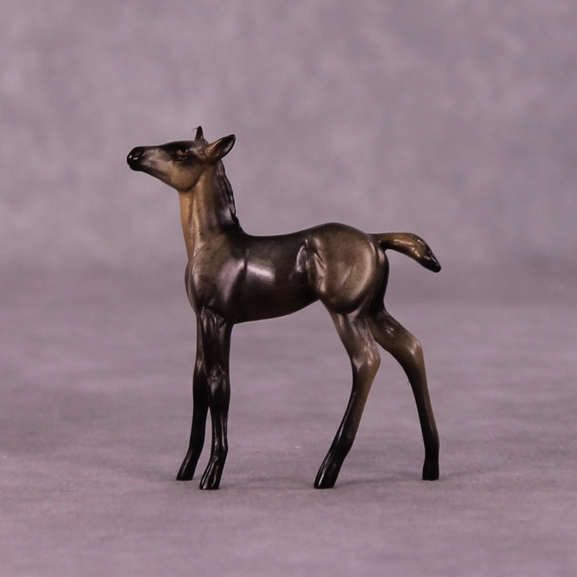 Tankwa Karoo OOAK Foal Chip by Jess Hamill MS25