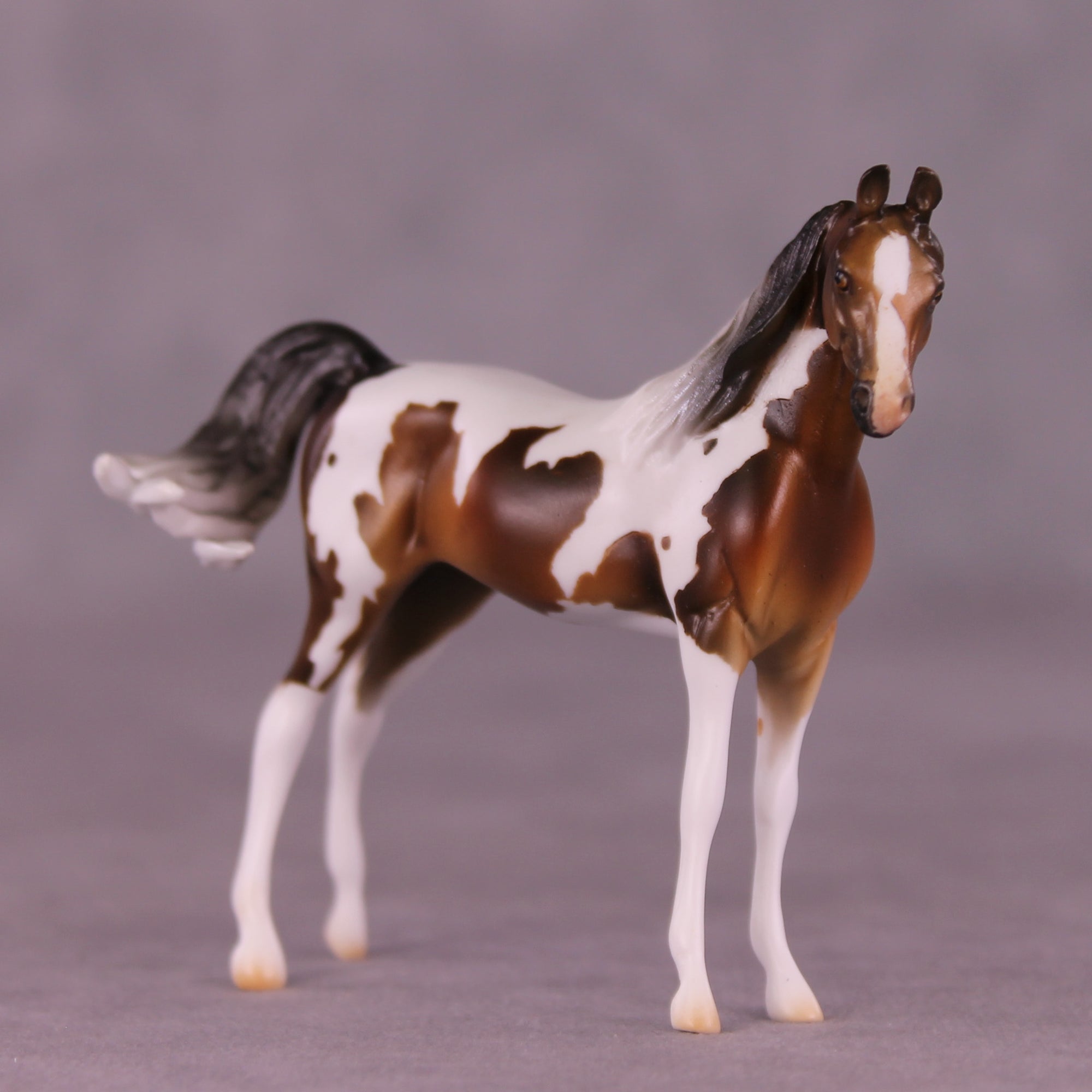 Mountain Mint OOAK FCM Chip Arabian by Mindy Berg Best Offers LHS25 09/09/2025