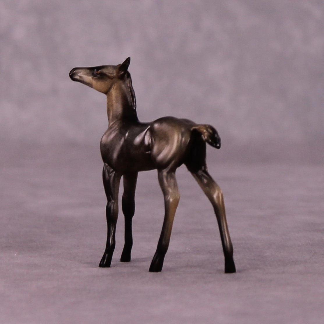 Tankwa Karoo OOAK Foal Chip by Jess Hamill MS25