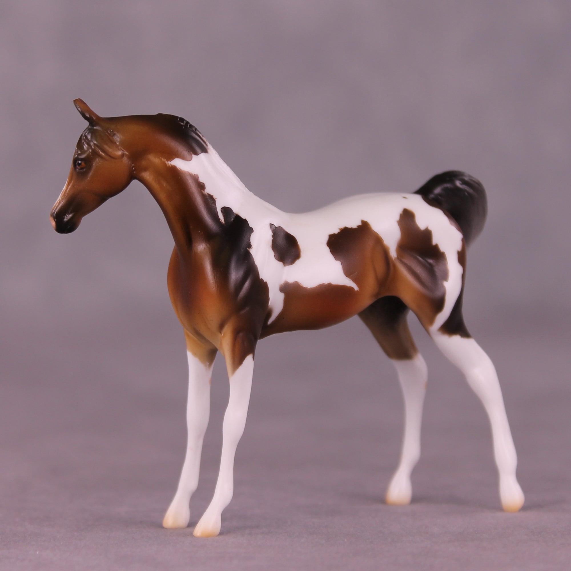 Mountain Mint OOAK FCM Chip Arabian by Mindy Berg Best Offers LHS25 09/09/2025