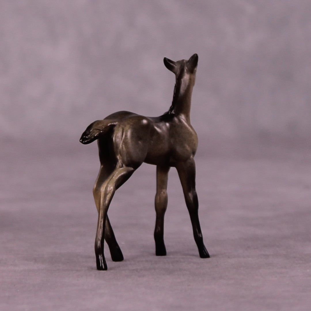 Tankwa Karoo OOAK Foal Chip by Jess Hamill MS25