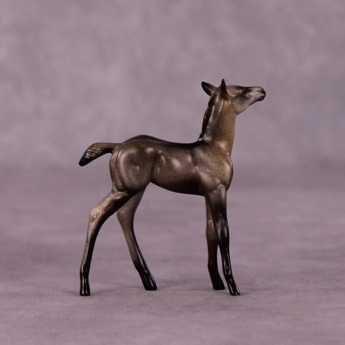 Tankwa Karoo OOAK Foal Chip by Jess Hamill MS25