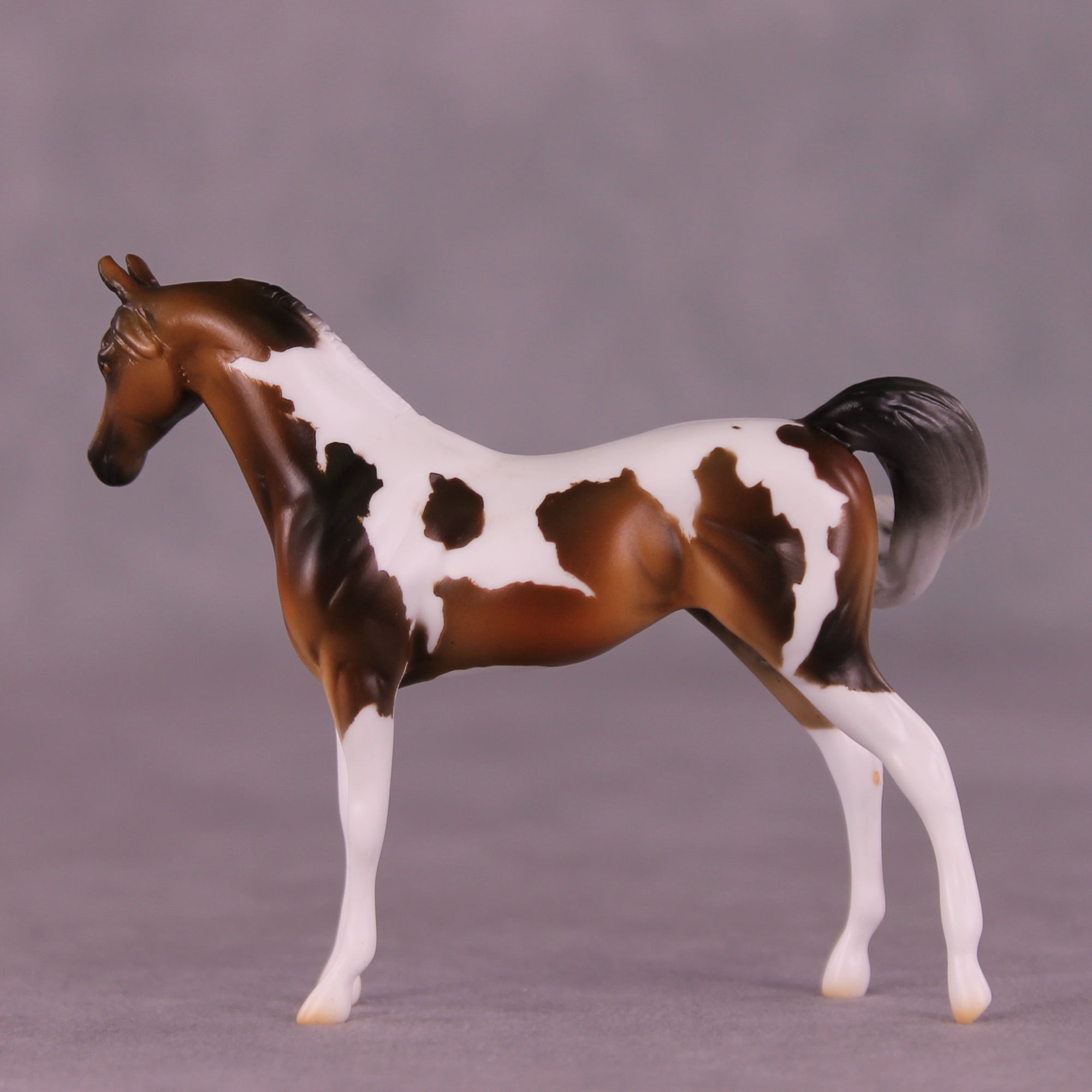 Mountain Mint OOAK FCM Chip Arabian by Mindy Berg Best Offers LHS25 09/09/2025